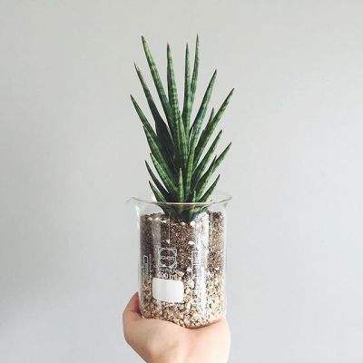 台湾福星彩app下载